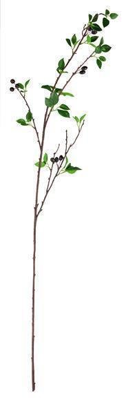 56"L OLIVE LEAF BRANCH GREEN