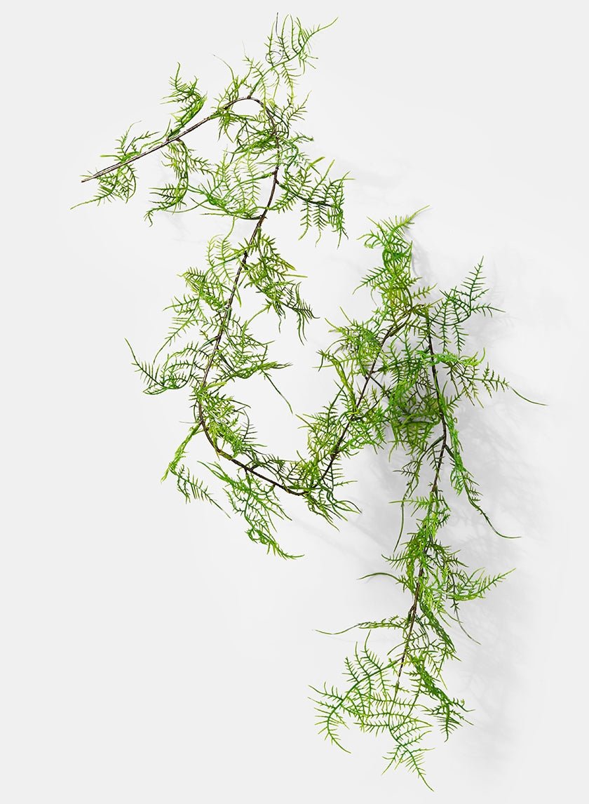 58 in Asparagus Fern Garland