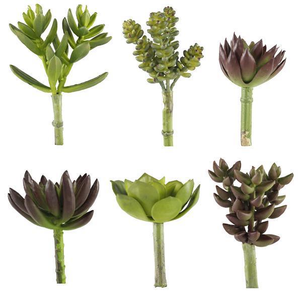 6 ASSORTED 4 - 6" GREEN SUCCULENT PICKS