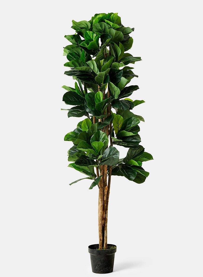 6 ft Artificial Fiddle Leaf Fig Tree