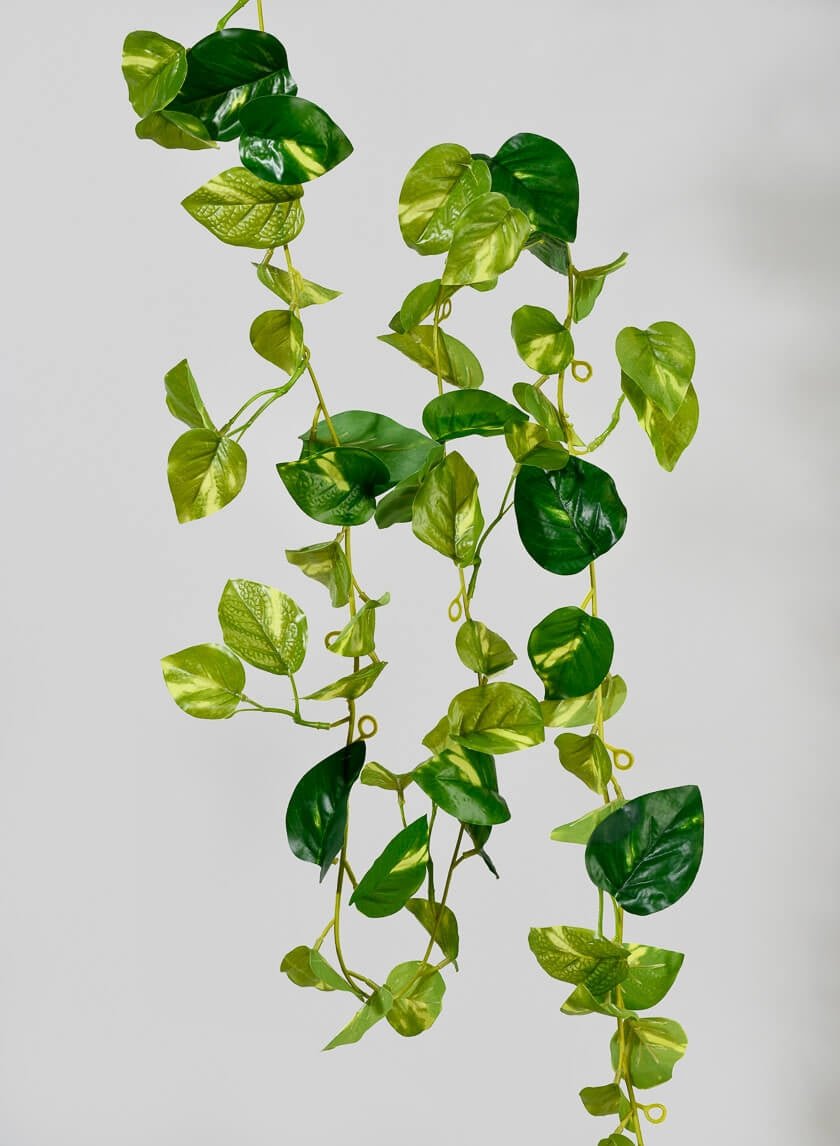 6 ft Pothos Garland