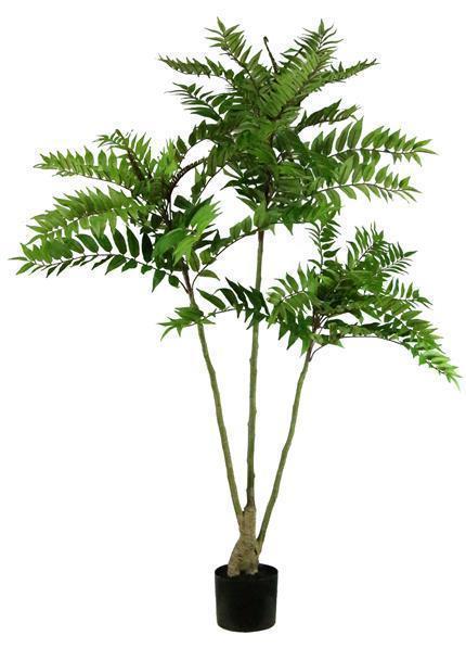 64"H POTTED FERN TREE **SHOW SPCL** **MINIMUM 2** GREEN