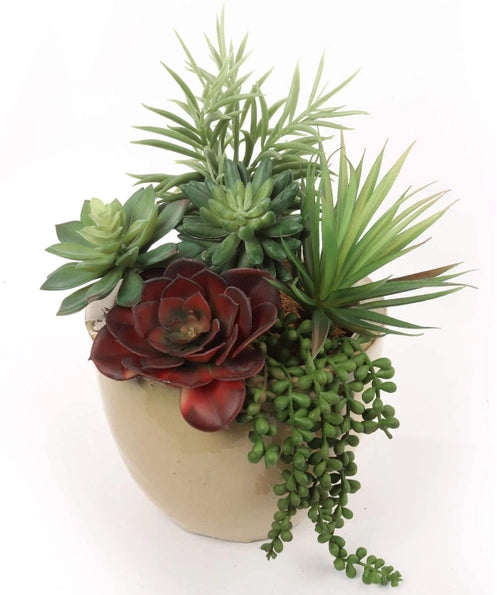 Set of 6 Realistic Artificial Succulent Assortment