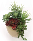 Set of 6 Realistic Artificial Succulent Assortment