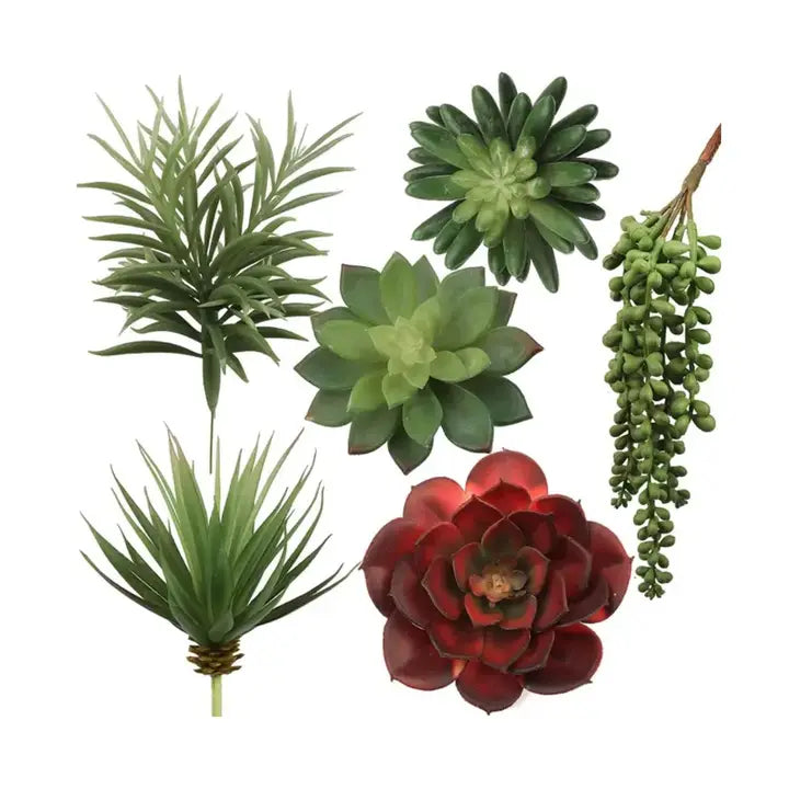 Set of 6 Realistic Artificial Succulent Assortment