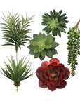 Set of 6 Realistic Artificial Succulent Assortment