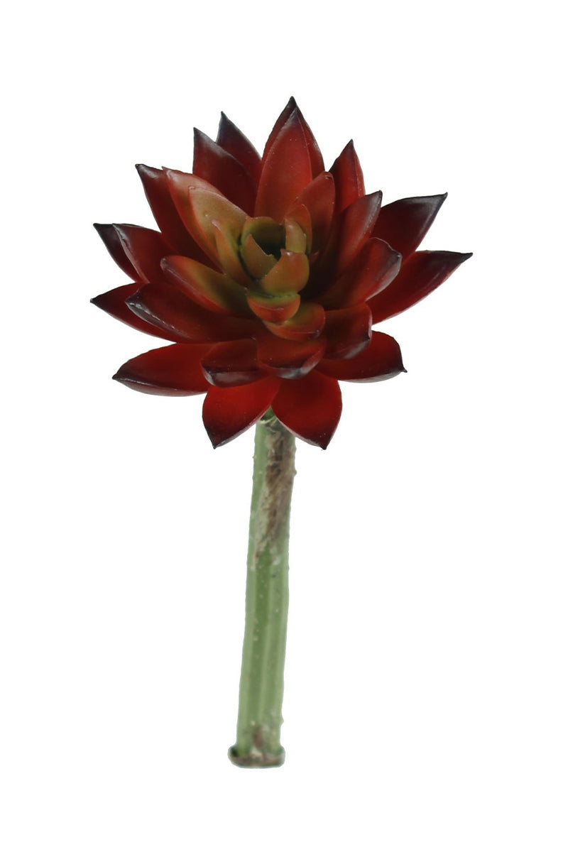 7" SUCCULENT PICK RED