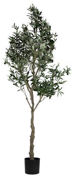 82"H POTTED OLIVE TREE GREEN