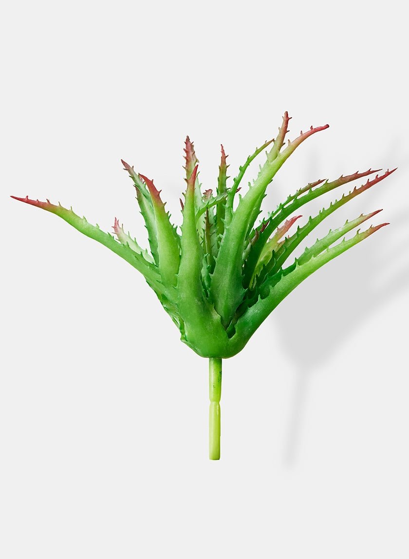 9 in Aloe Pick