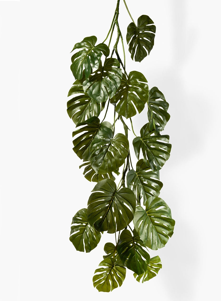 71 in Monstera Leaf Vine