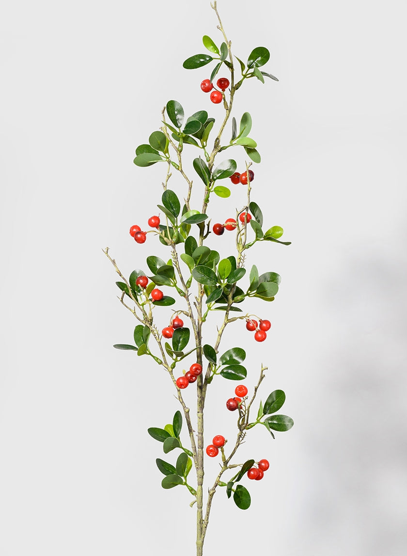 34 in Red Berry Branch