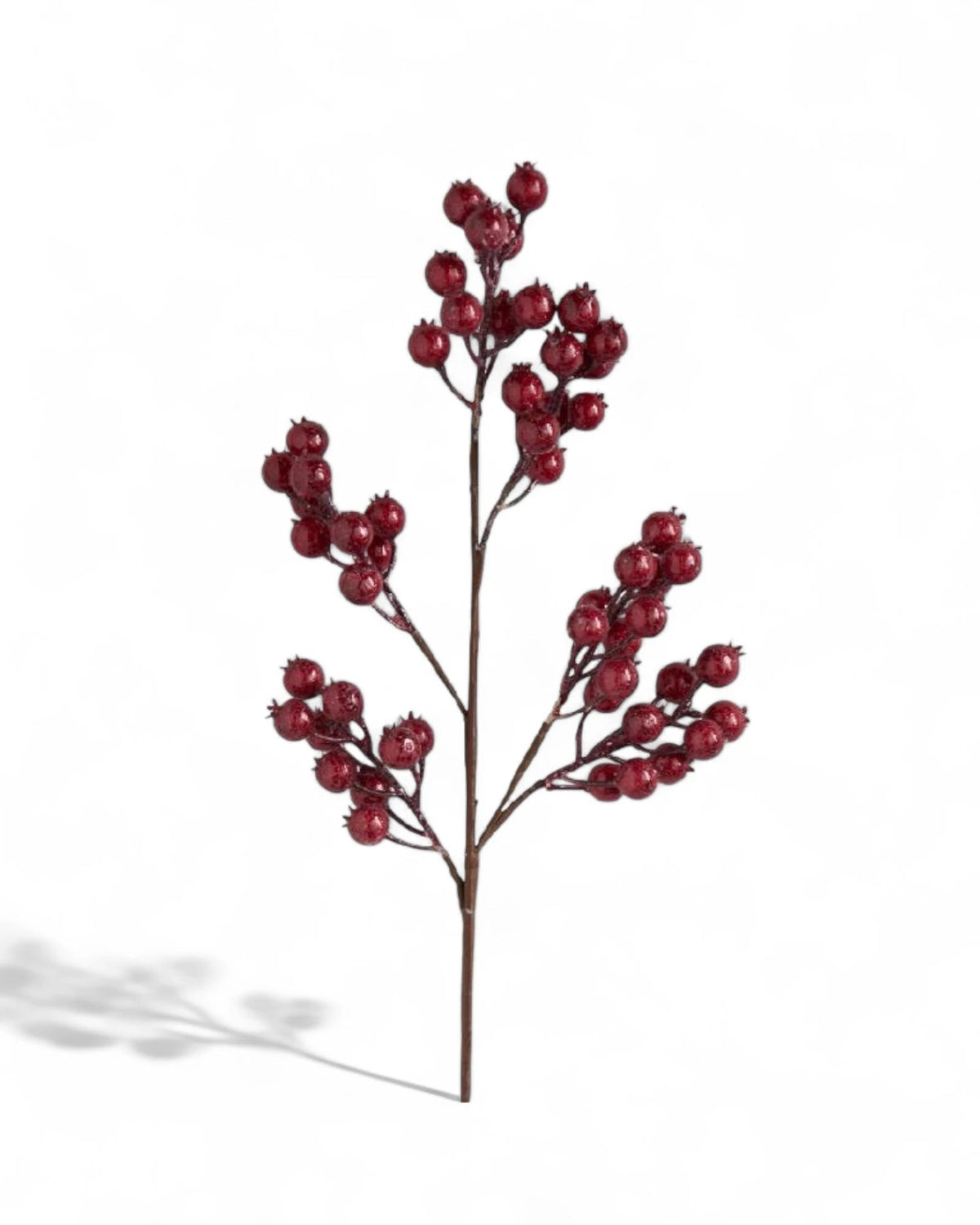 Crackle Glitter Rosehip Spray 