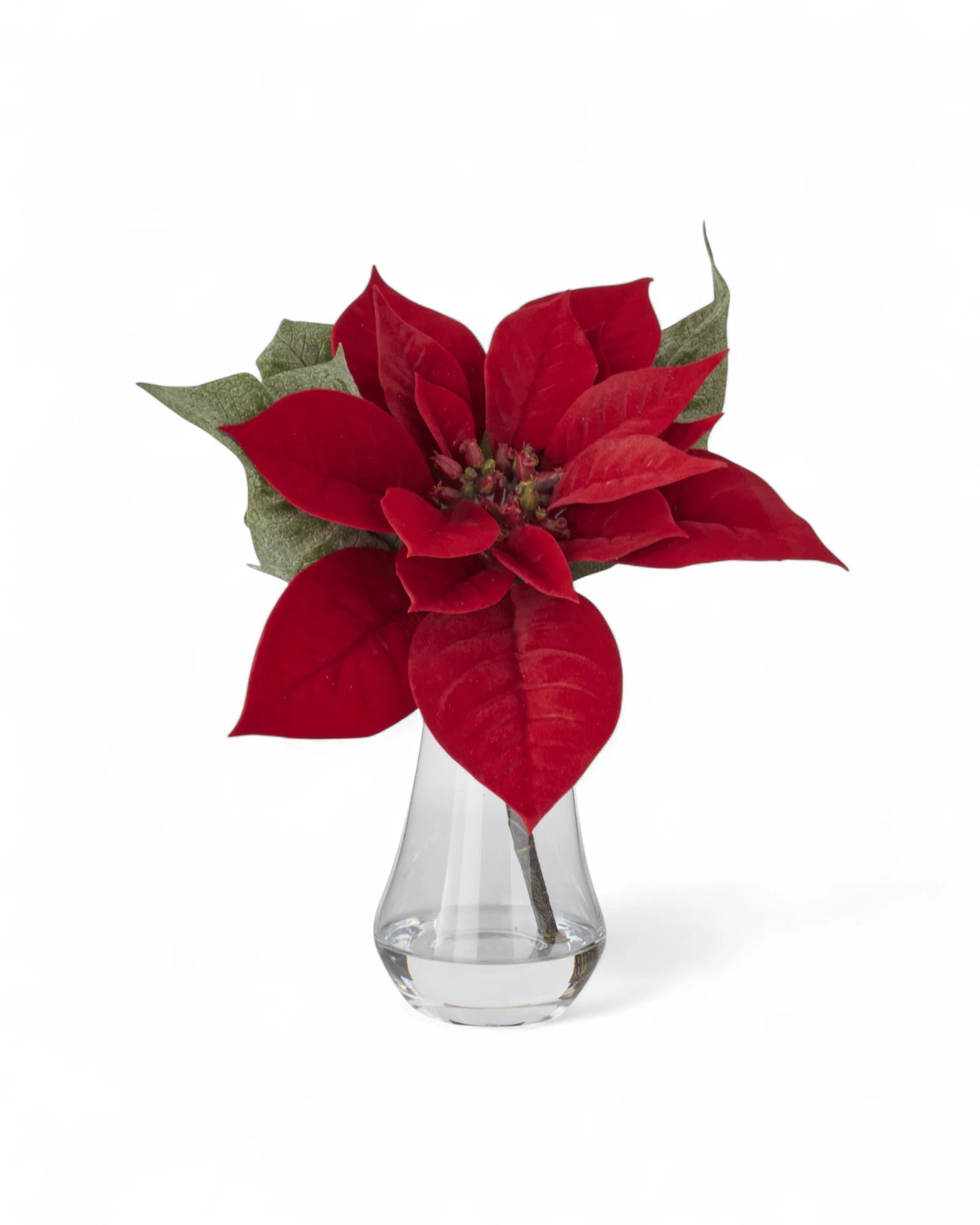 10 Inch Red Poinsettia Premade in Clear Glass Vase