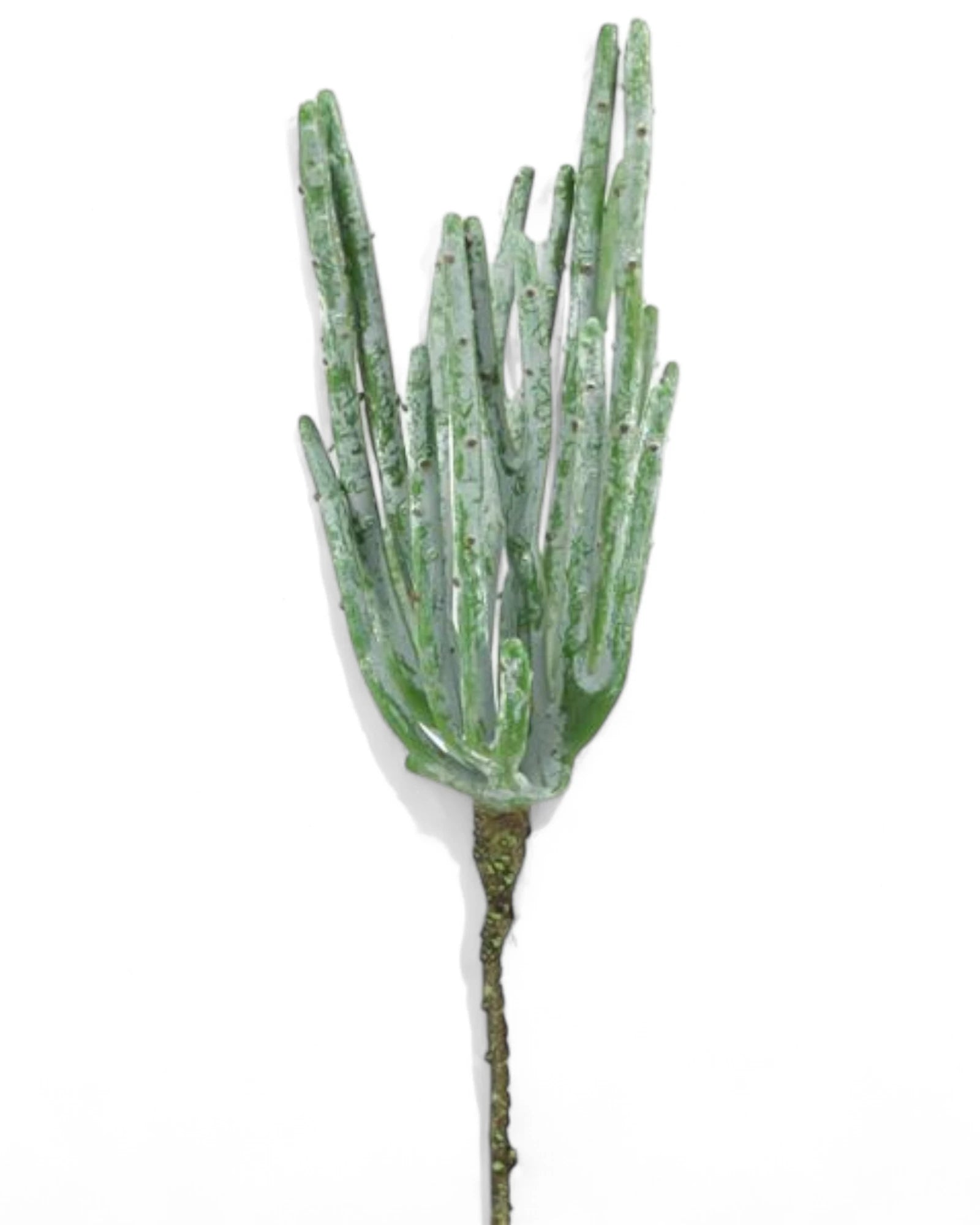 10"L PENCIL CACTUS PICK GREEN
