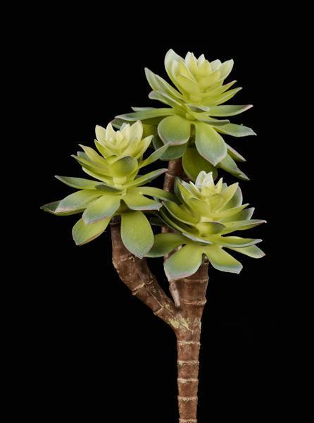 7"L UV SHIELD SUCCULENT PICK MULTI GREEN