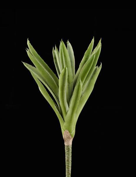 12"L ALOE PICK LIGHT GREEN