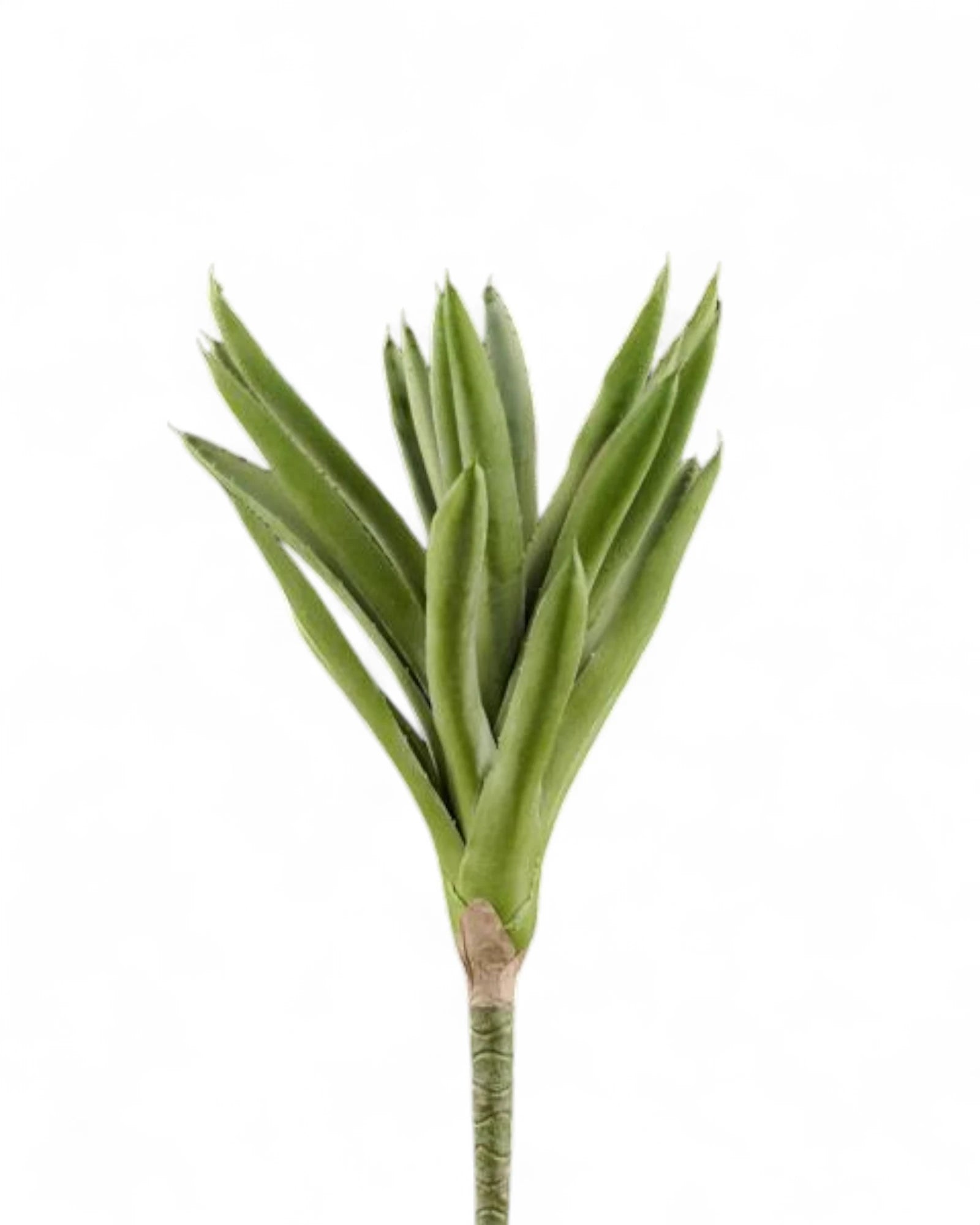 12"L ALOE PICK LIGHT GREEN