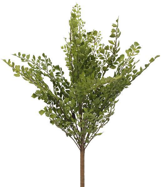 18"L MAIDEN FERN BUSH 2-TONE GREEN