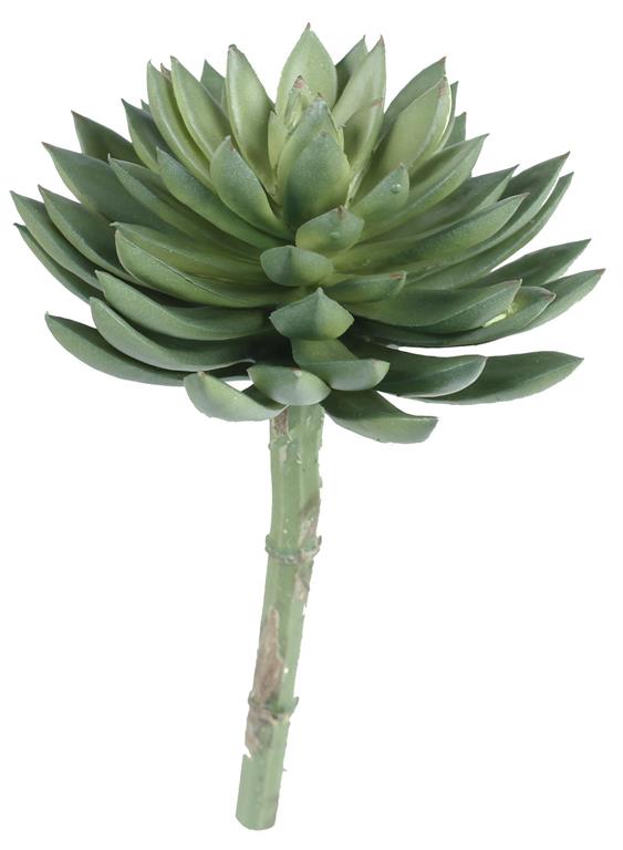 8" SUCCULENT PICK GREEN