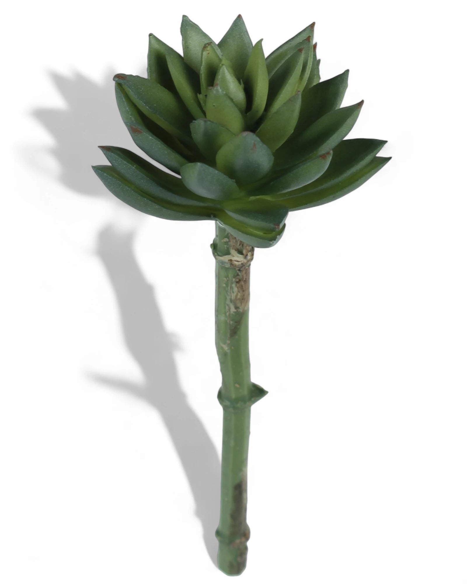 7" SUCCULENT PICK GREEN