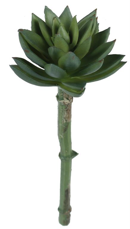 7" SUCCULENT PICK GREEN