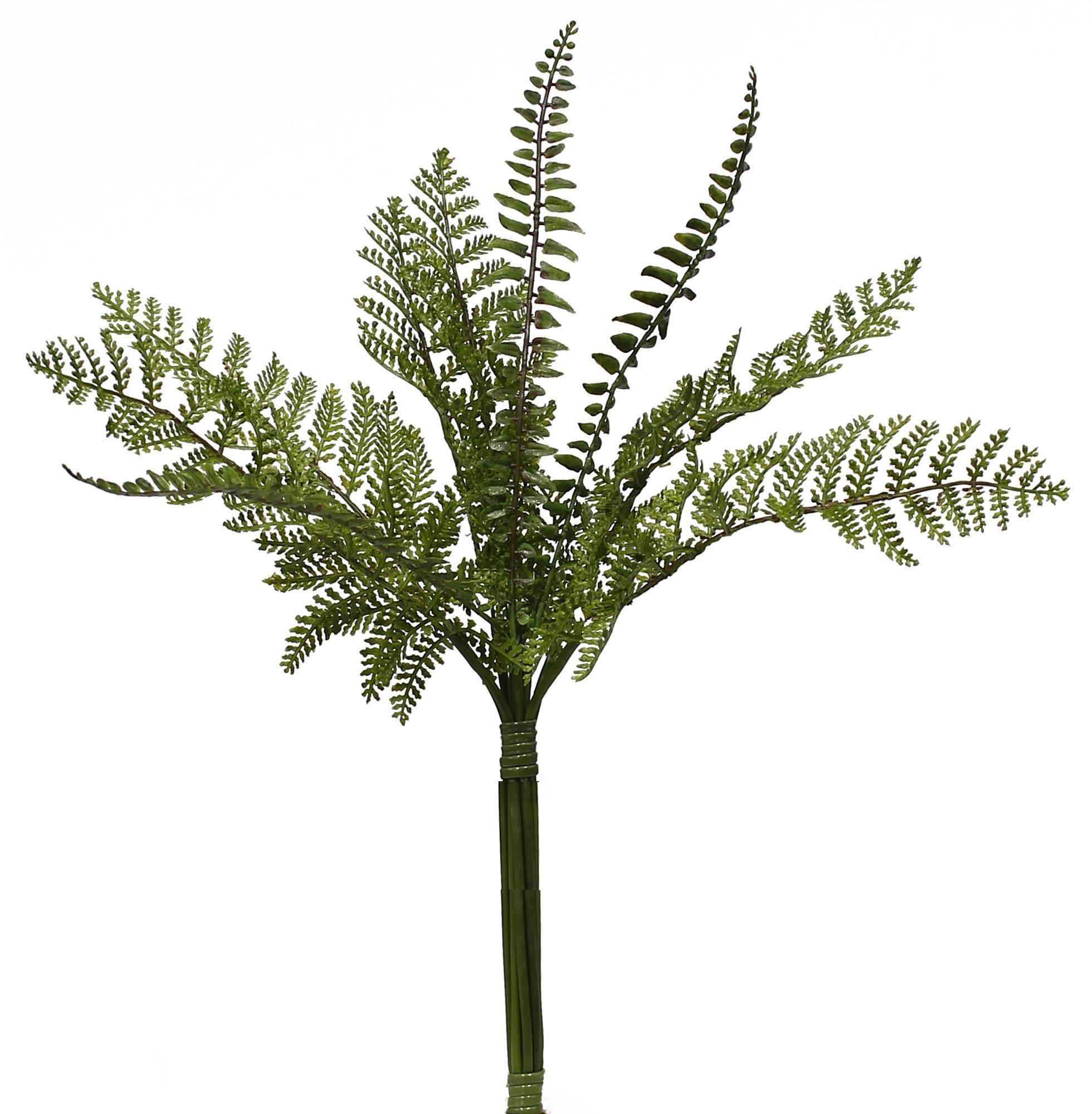 14" L FOREST FERN BUSH NATURAL