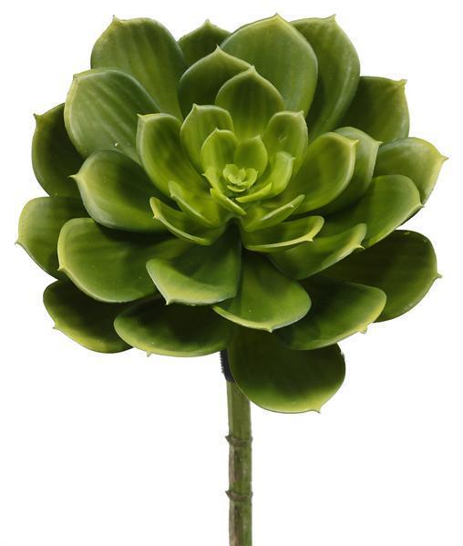 8"DIA SUCCULENT PICK GREEN