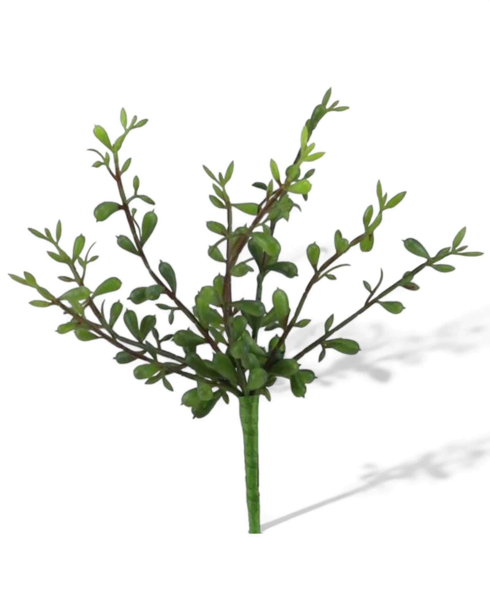 9"L MINI JADE PICK X8 2-TONE DARK GREEN WITH RED
