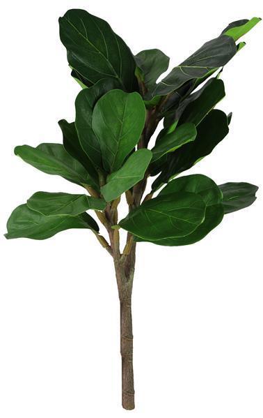 23"H FIDDLE LEAF FIG BUSH GREEN