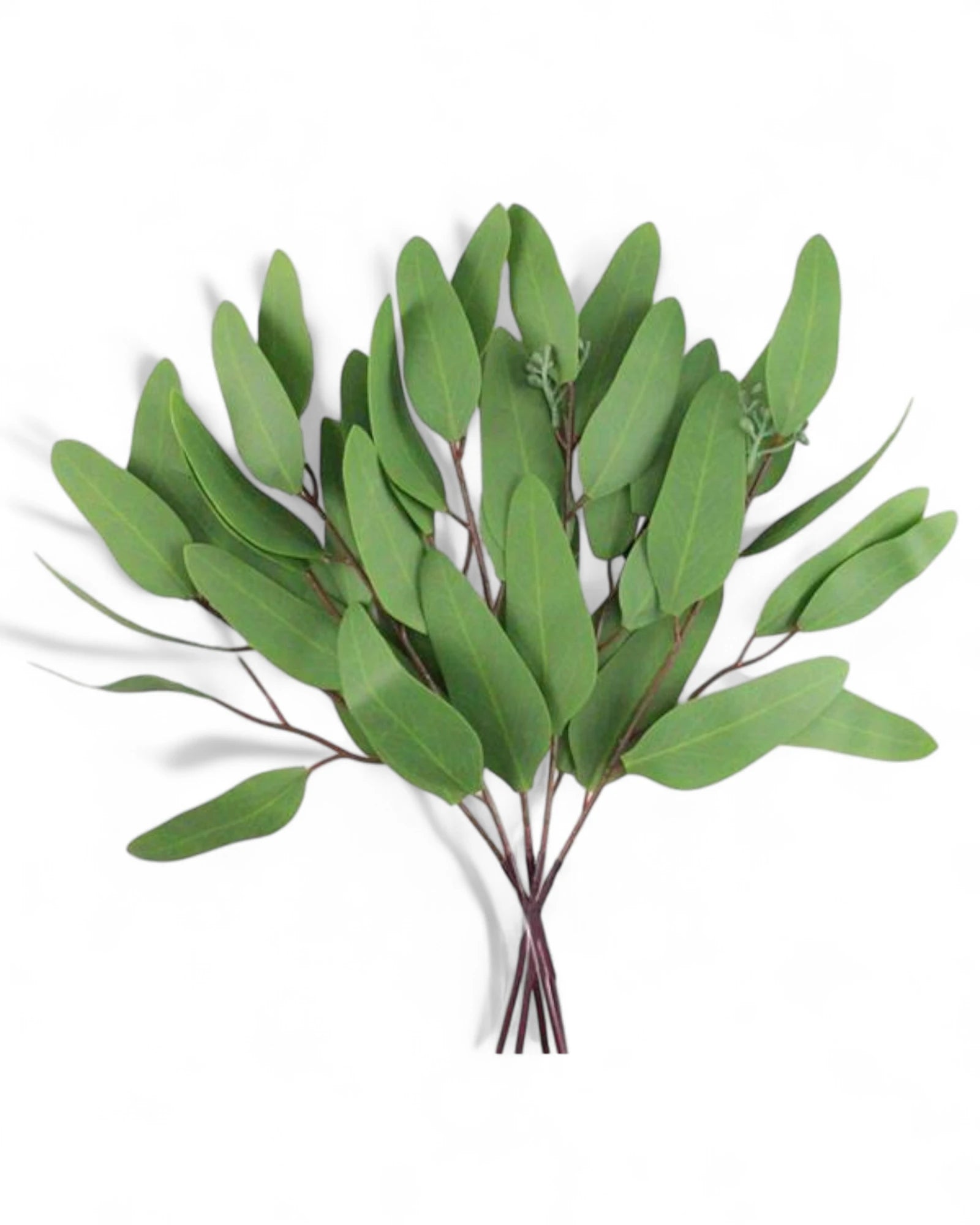 15"L BLADE EUCALYPTUS BUNDLE GREEN