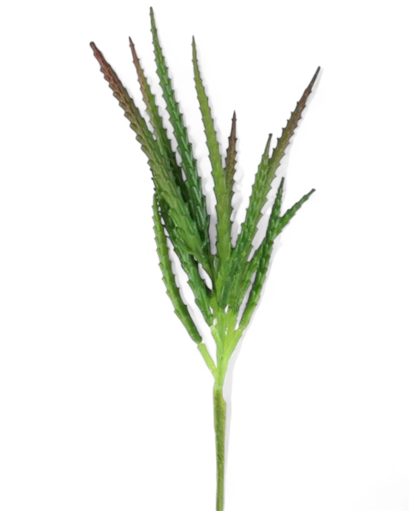 11"L SUCCULENT STEM GREEN/RED