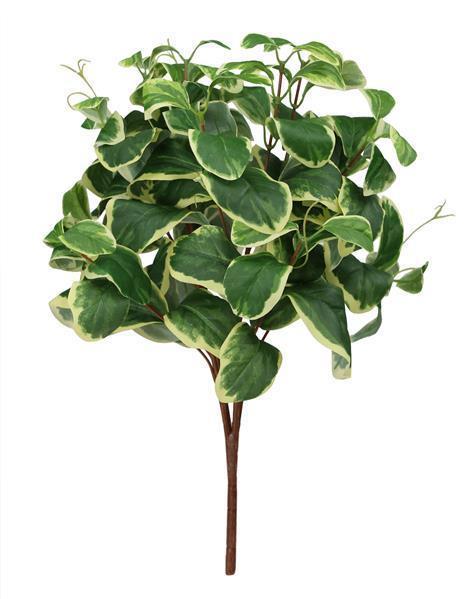 18.5"L BOXWOOD LEAF BUSH VARIEGATED GREEN