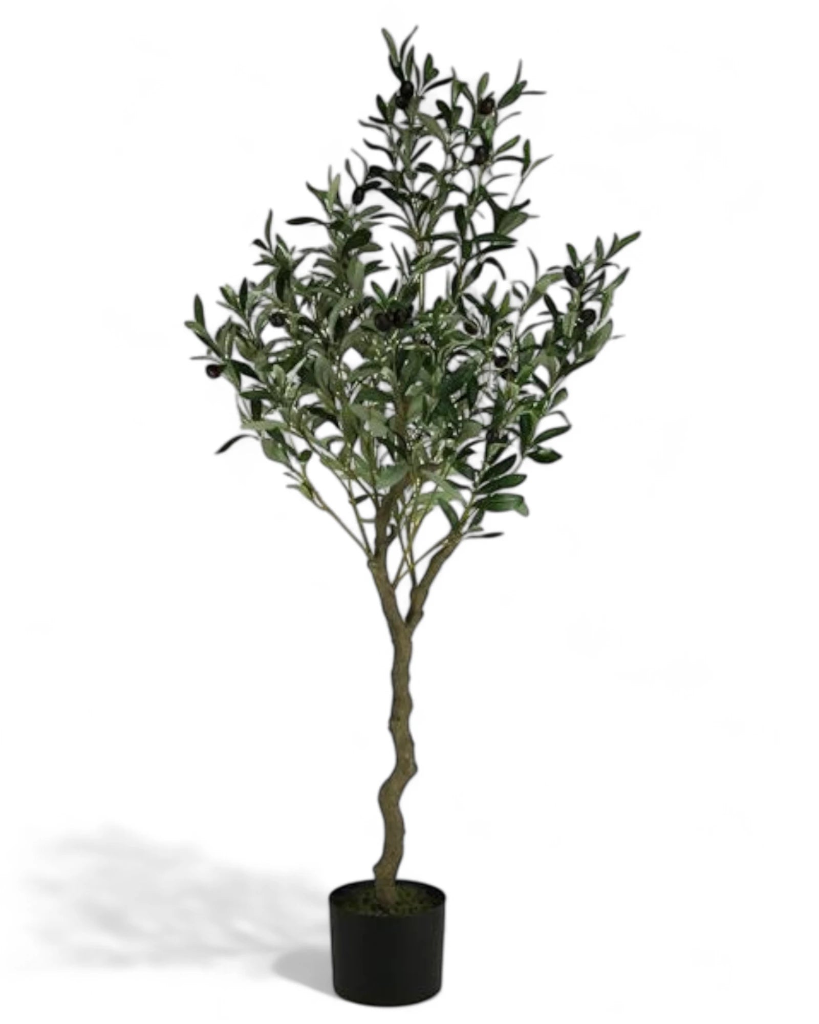 48"H POTTED OLIVE TREE