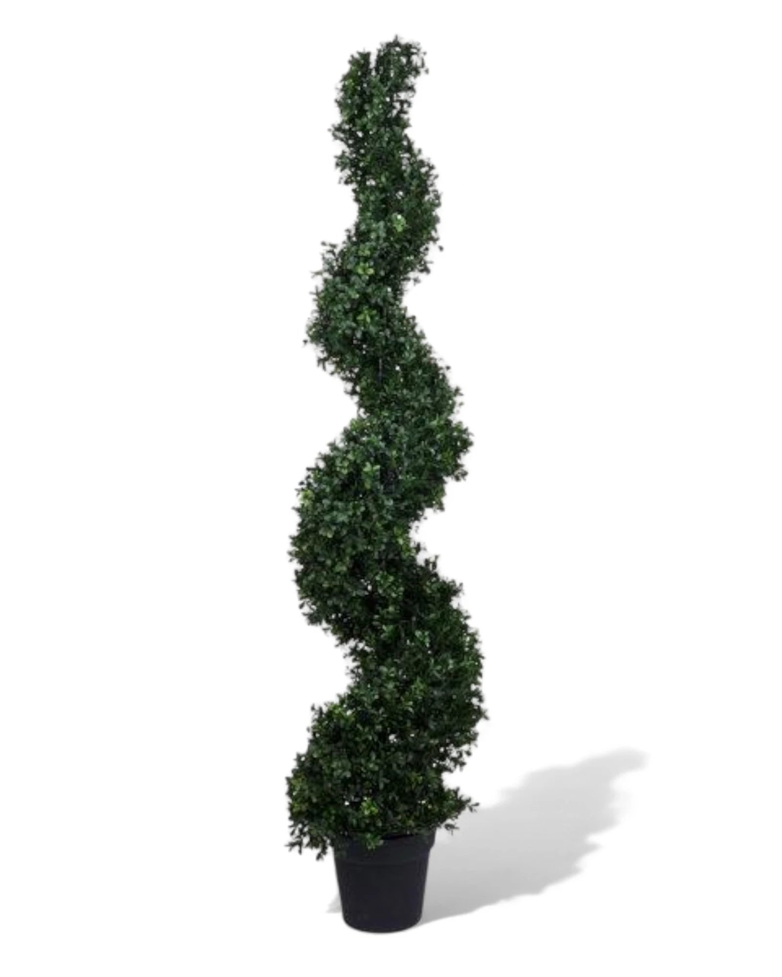 59"H SPIRAL BOXWOOD TOPIARY