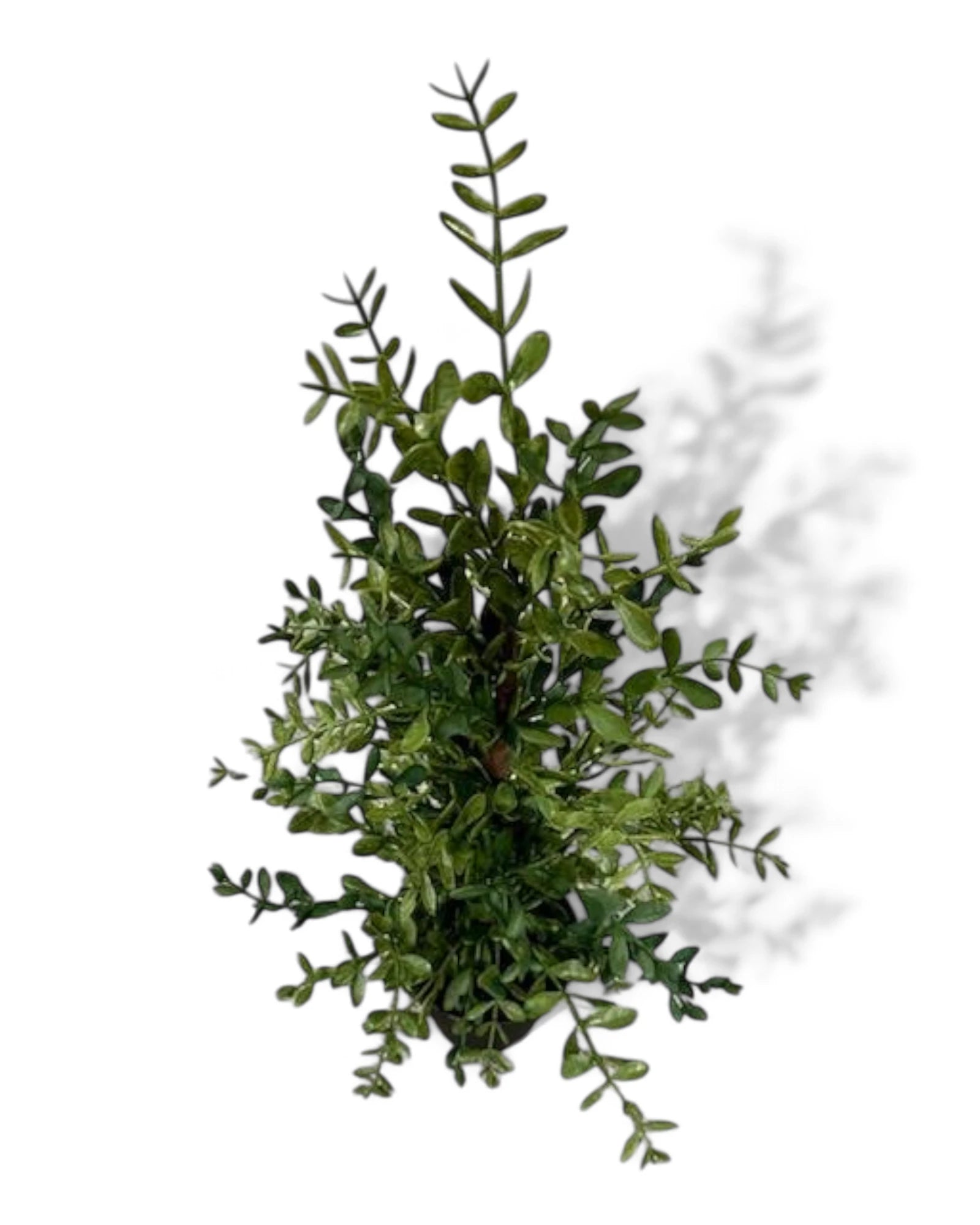 24"H POTTED BOXWOOD TREE UV PROTECTED