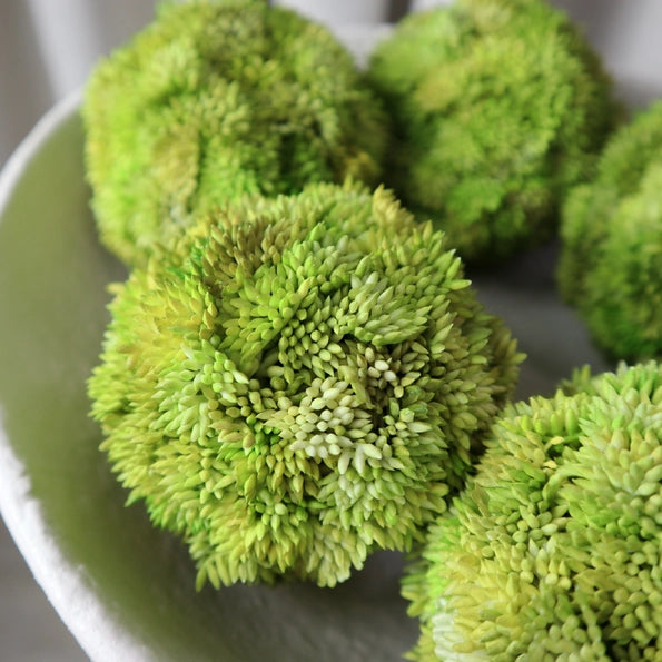 Faux Moss Arrangement in White Santorini Bowl