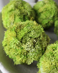 Faux Moss Arrangement in White Santorini Bowl