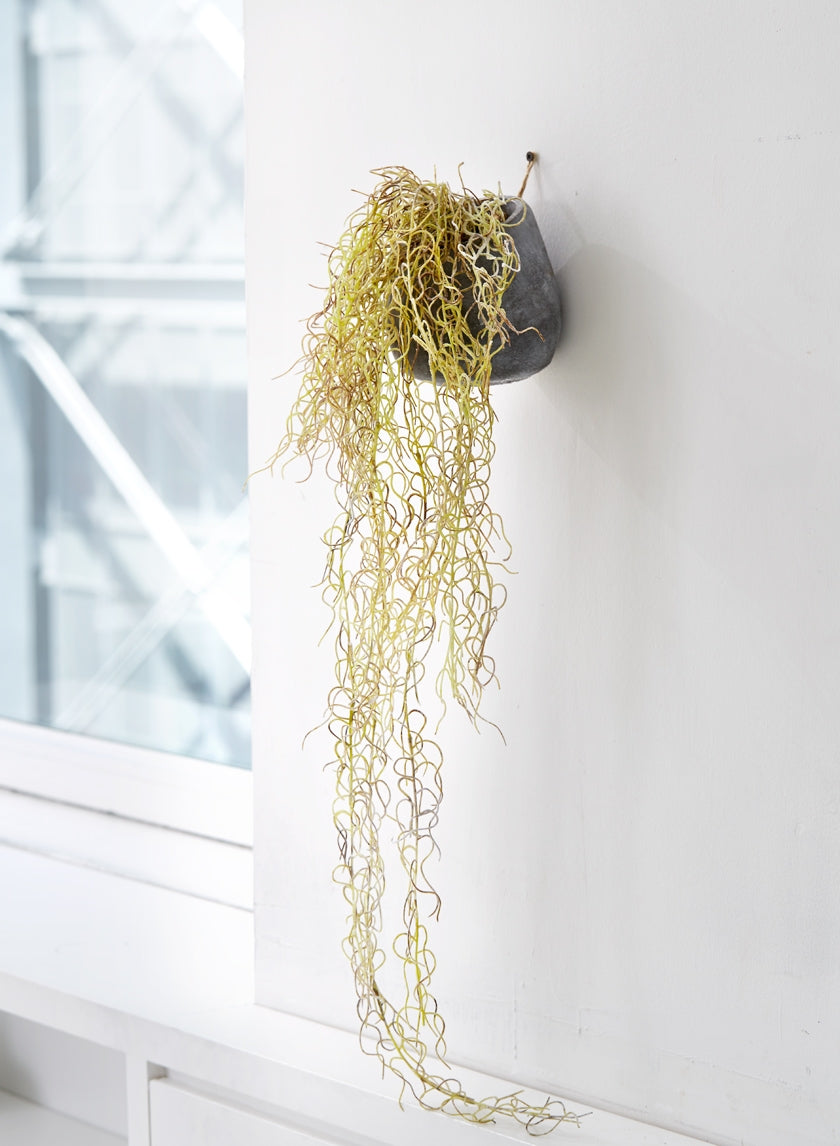 Flocked Spanish Moss In Wall Pot