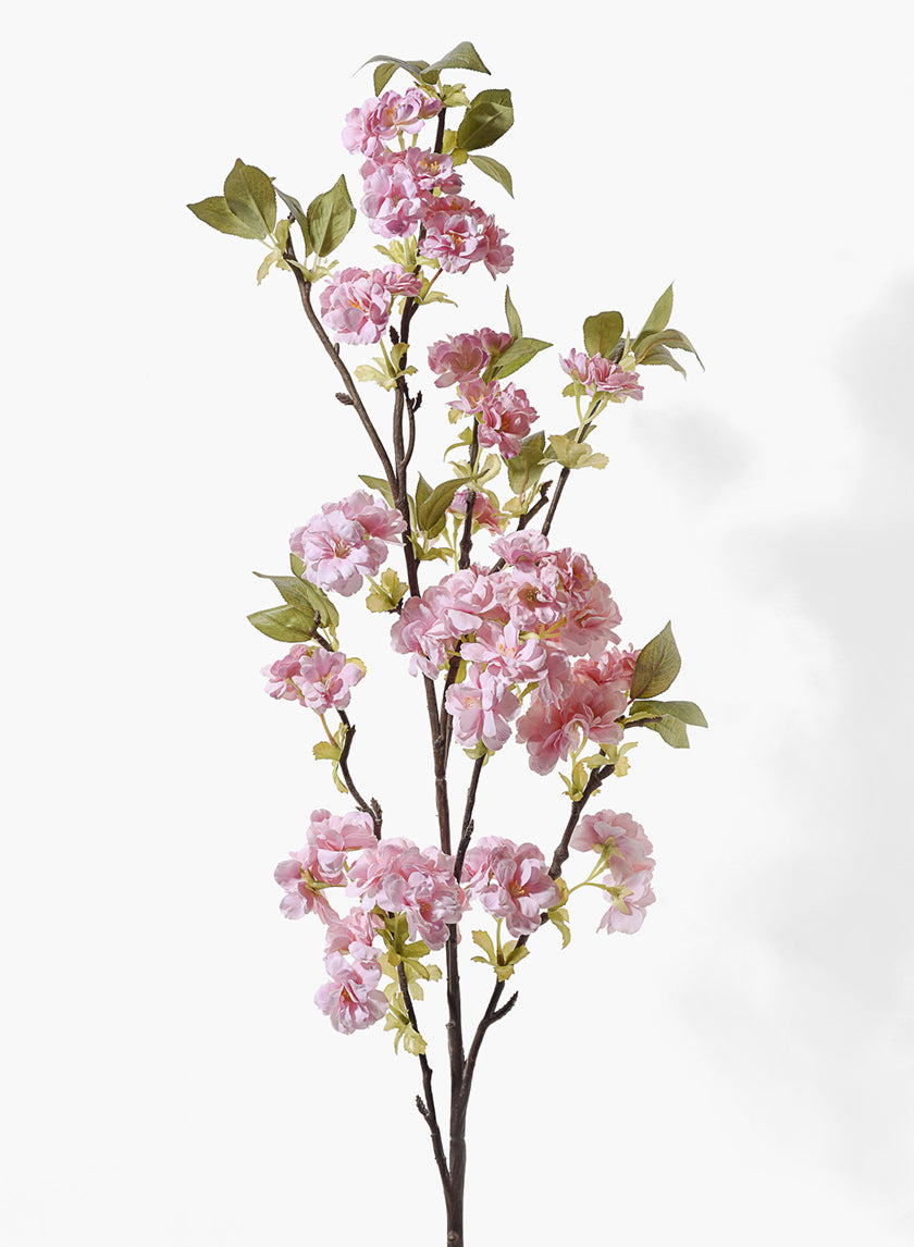 50 in Pink Cherry Blossom Branch