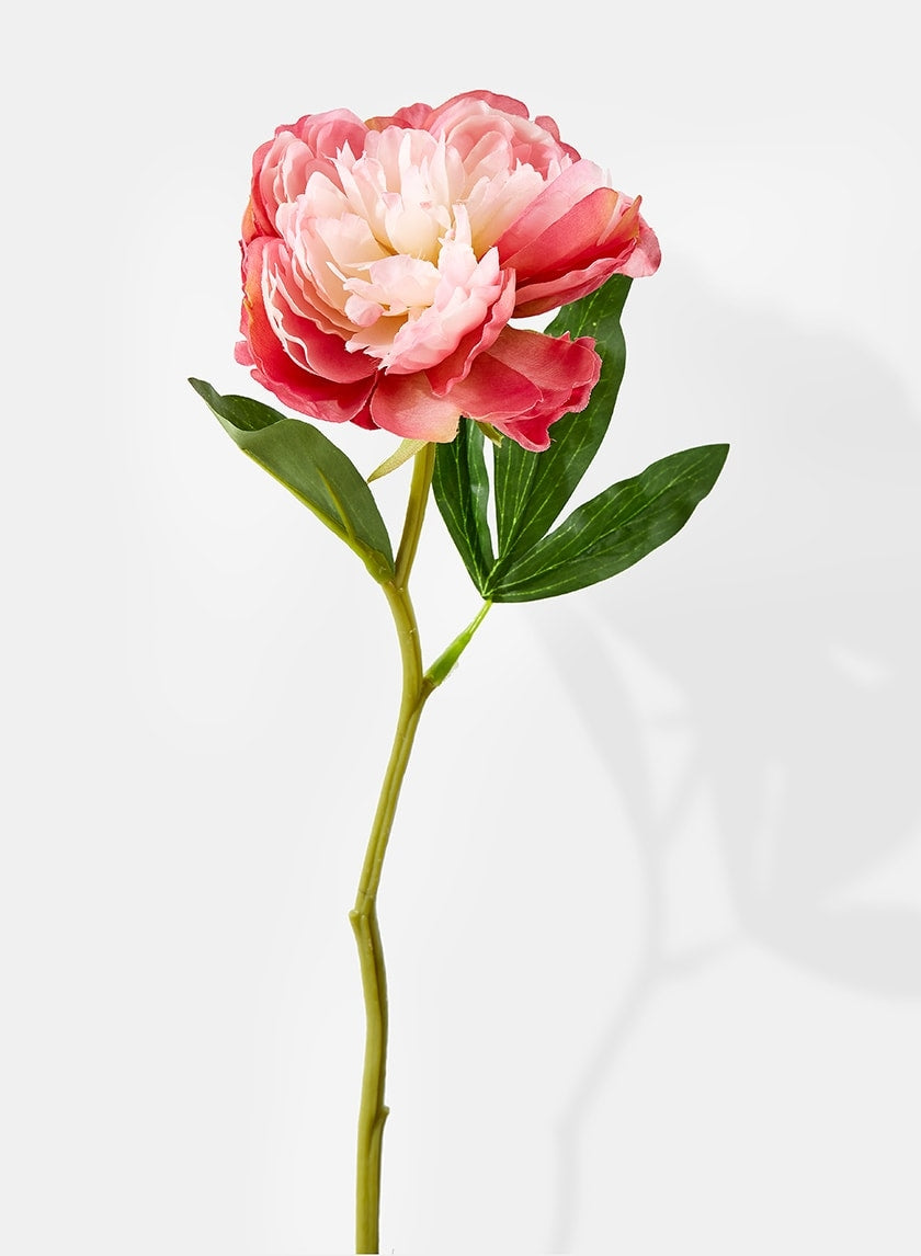 13 in Pink Peony