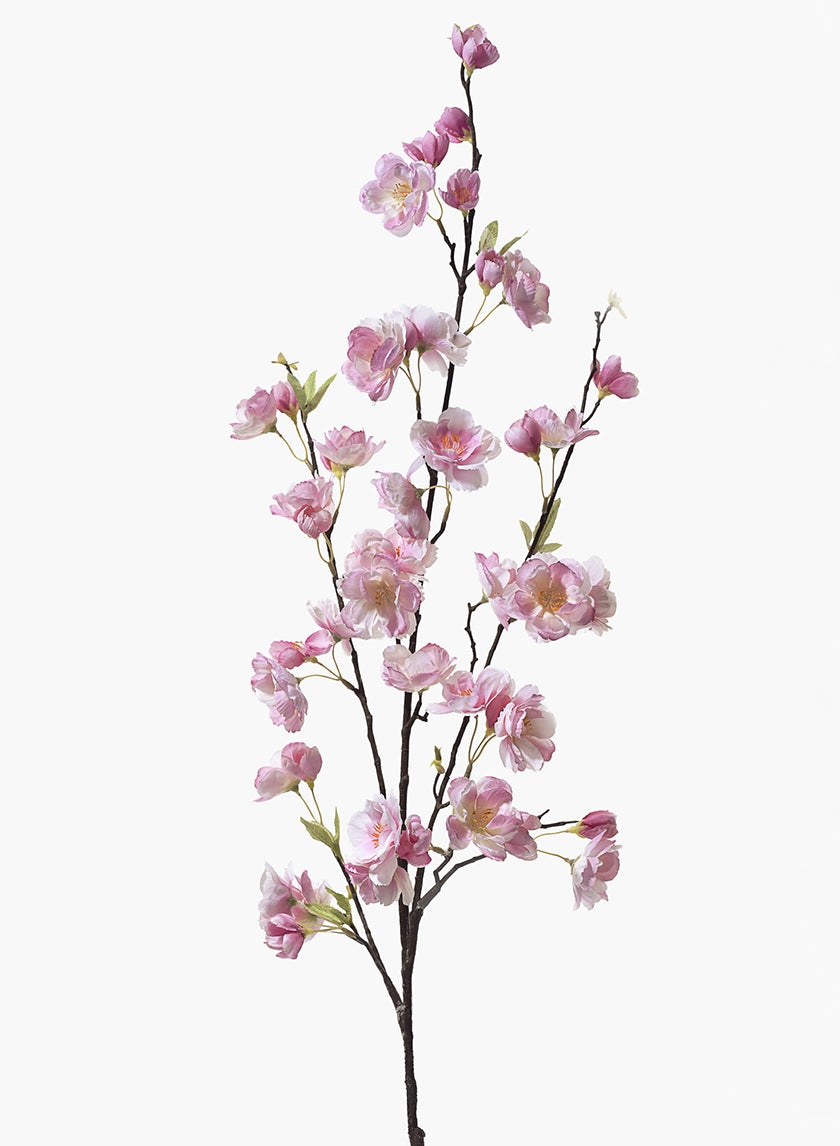 45 in Pink Cherry Blossom Branch