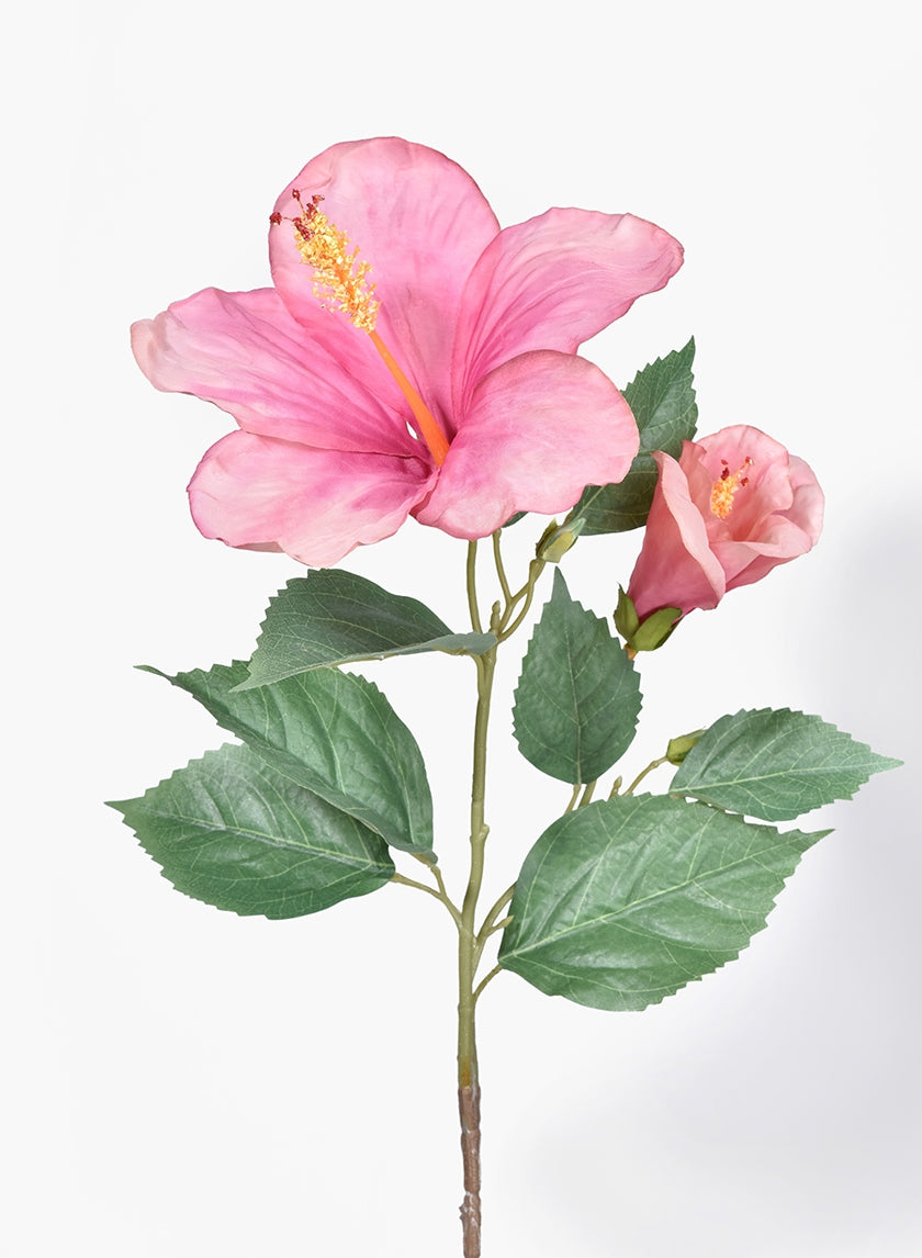 26 in Pink & Peach Hibiscus