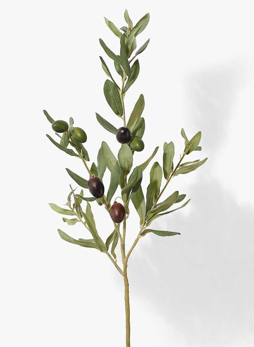 32 in Green Olive Tree Branch