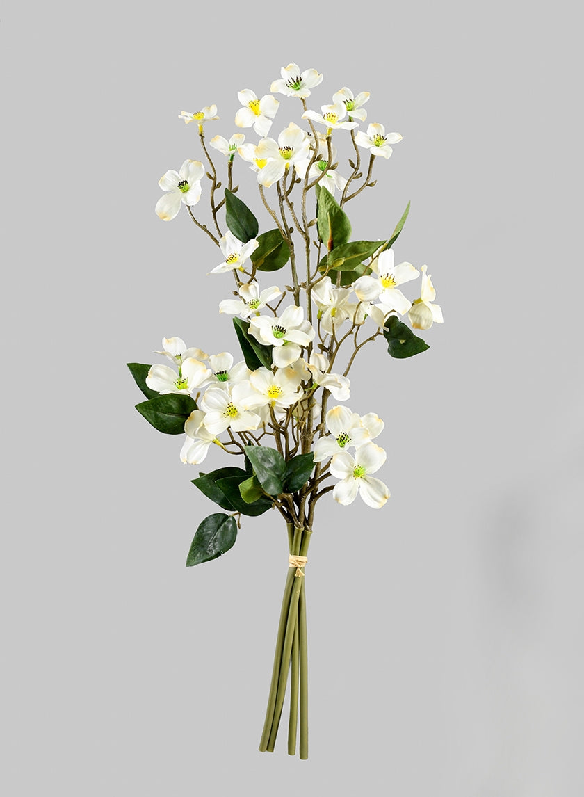 20 in White Dogwood Bunch