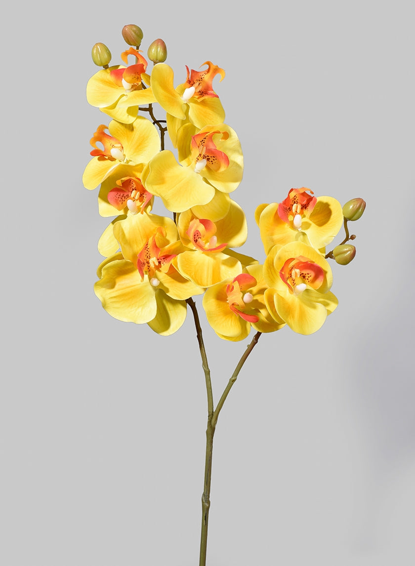31 in Real-Touch Yellow Butterfly Orchid