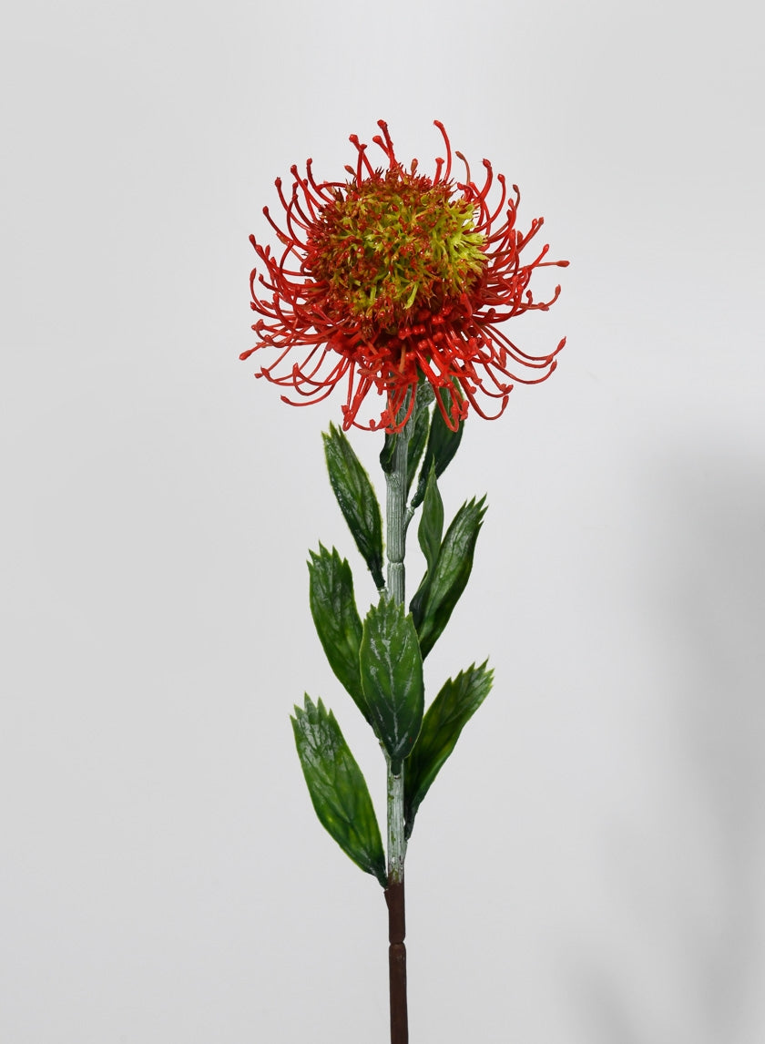 23 ½ in Blooming Protea Spray