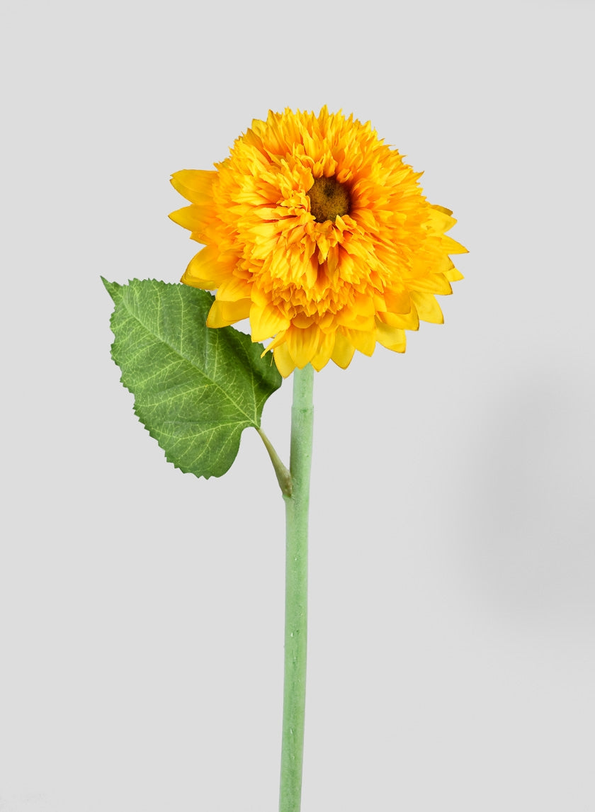 28 in Golden Yellow Sunflower
