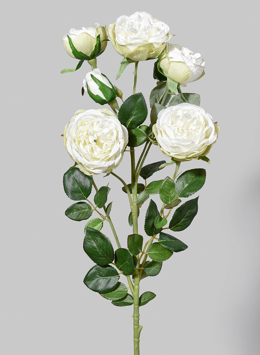30 in Blooming White Roses Spray