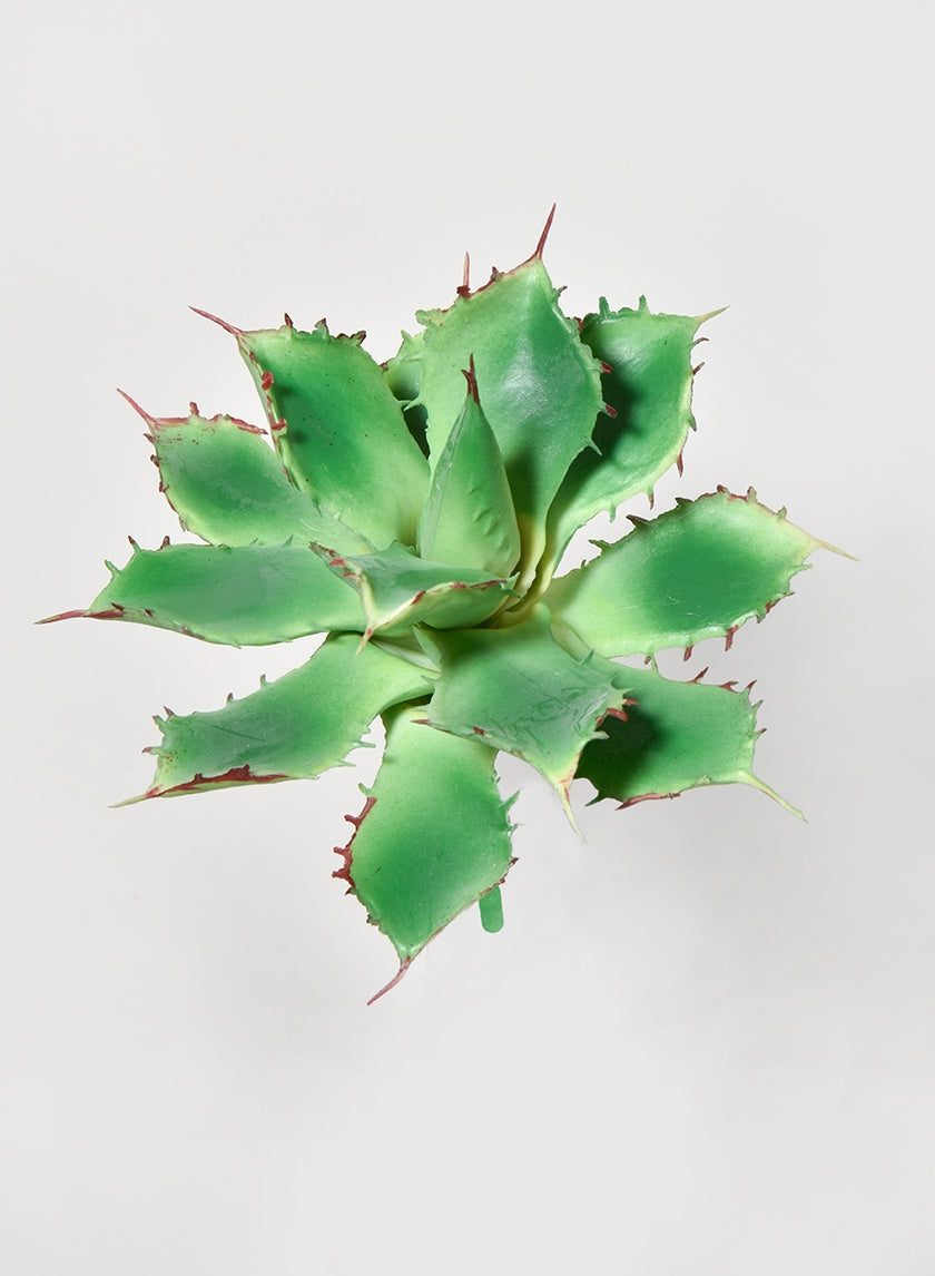 5 in Star Cactus Pick