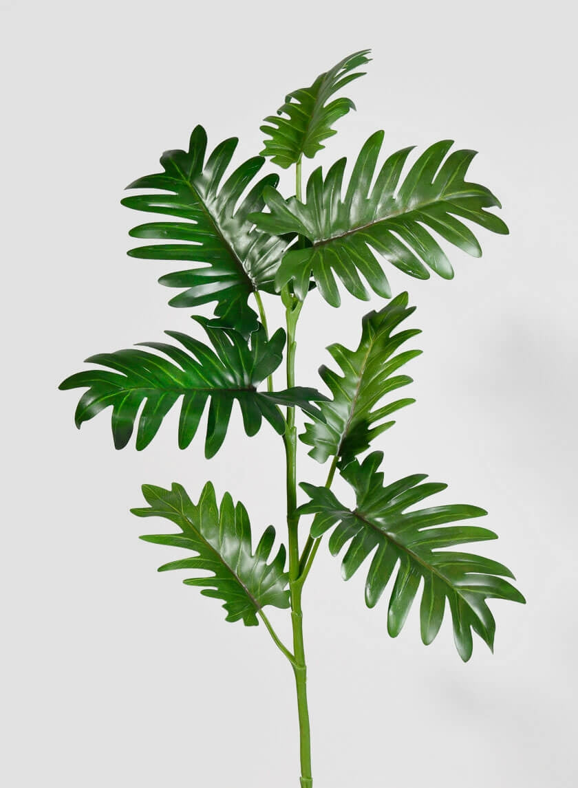 32 ½ in Philodendron Leaf Spray
